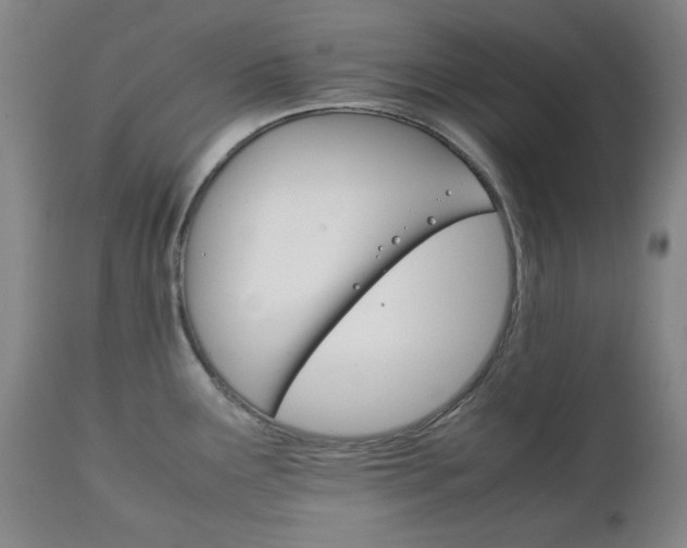 X0000111231291200907091327