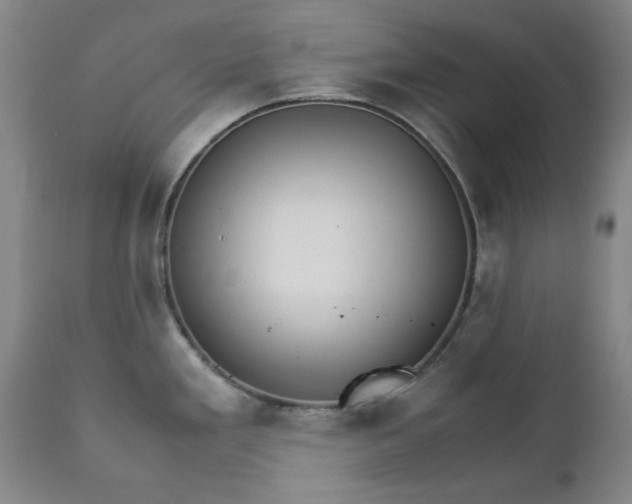 X0000111231293200907091327