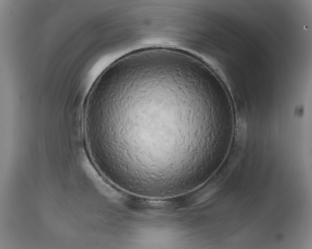 X0000111231295200907091327