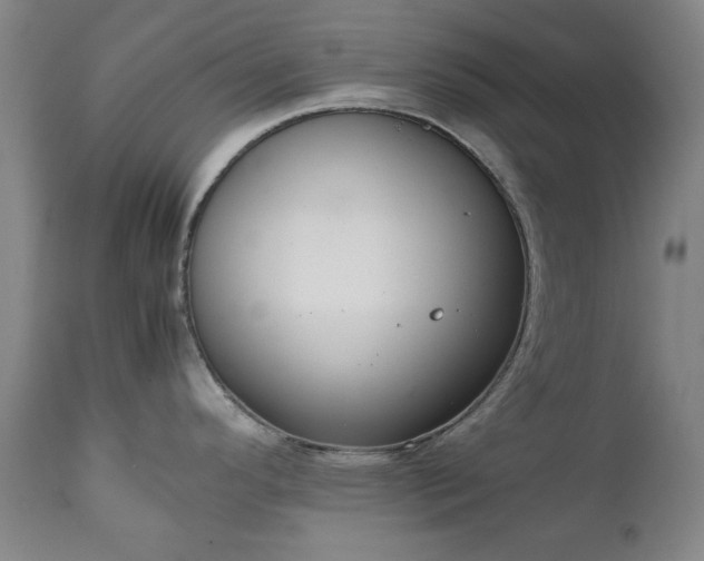 X0000111231296200907091327