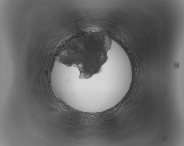 X0000111231297200907091326