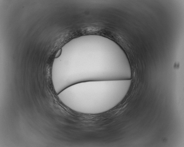 X0000111231299200907091326