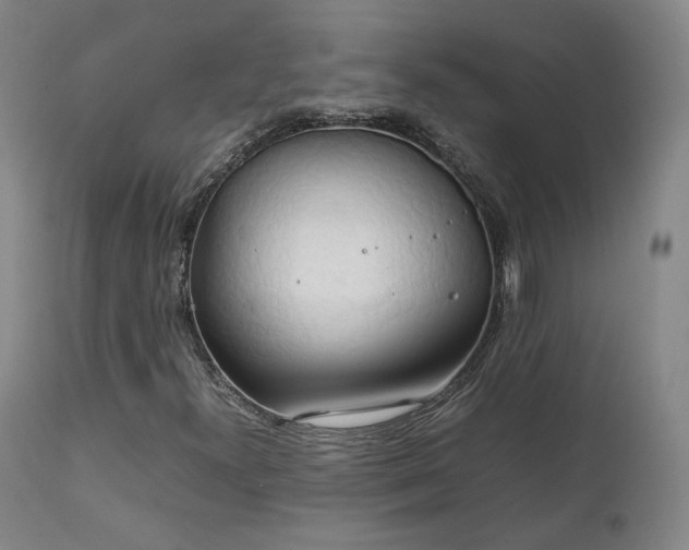 X0000111231300200907091326