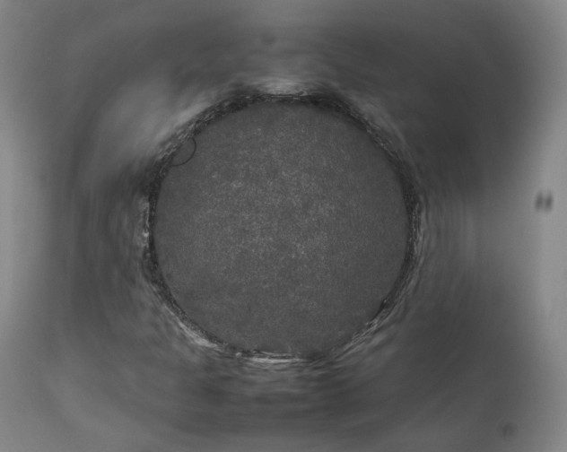 X0000111231301200907091326