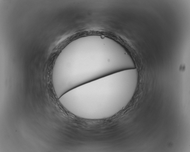 X0000111231303200907091326