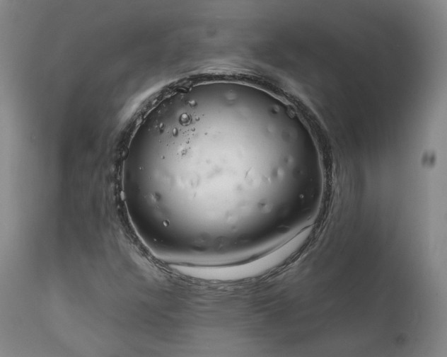 X0000111231304200907091326