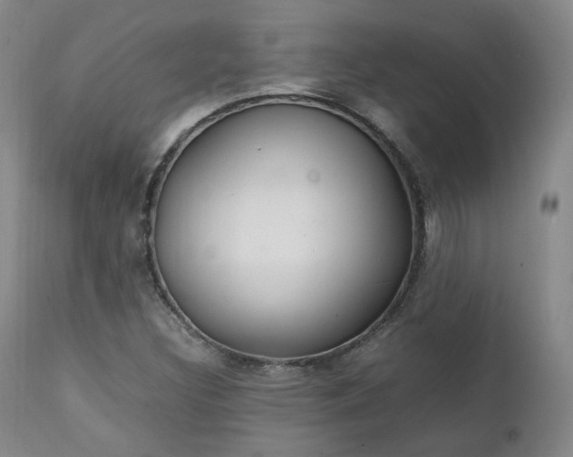X0000111231308200907091326