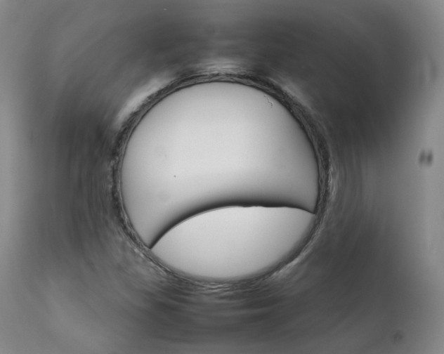 X0000111231309200907091326