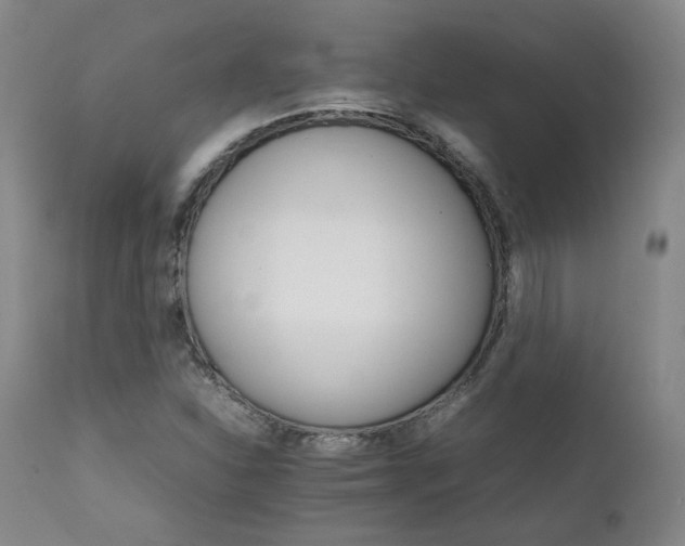 X0000111231310200907091326
