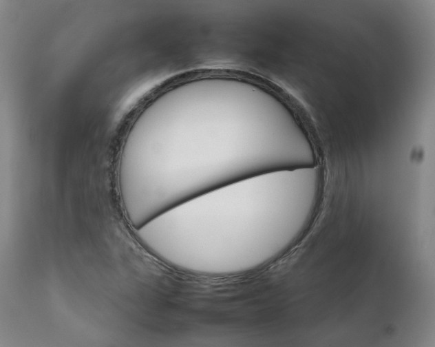X0000111231311200907091326