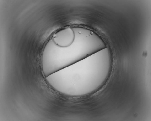 X0000111231313200907091326