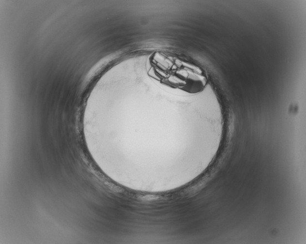 X0000111231314200907091326