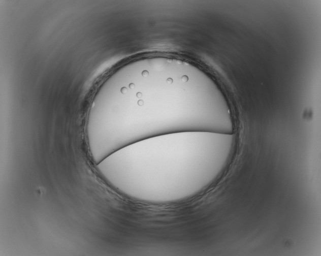 X0000111231315200907091326