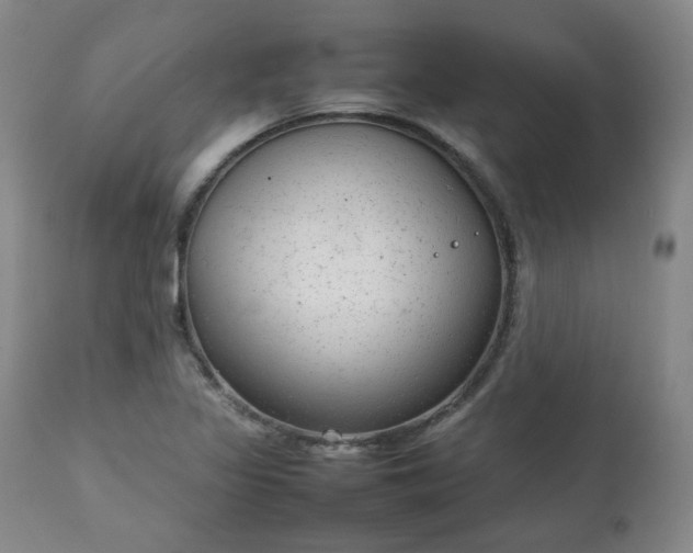 X0000111231317200907091326