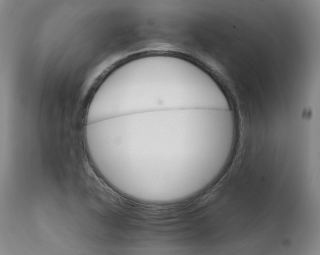 X0000111231318200907091326