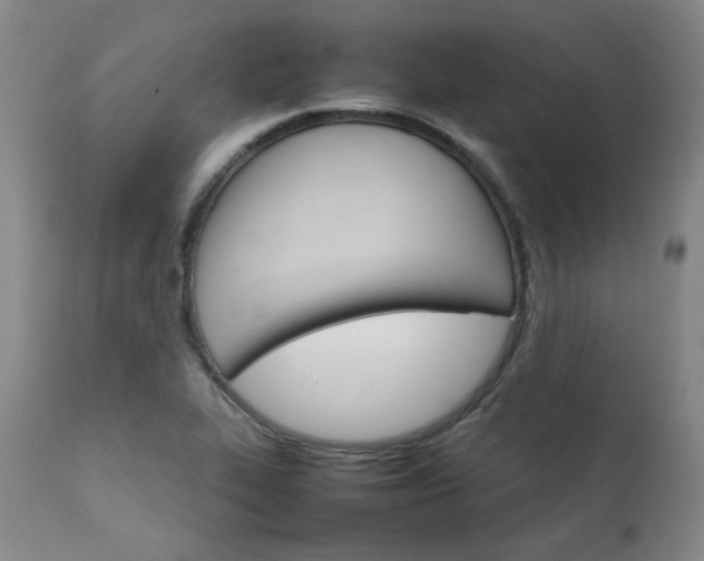 X0000111231319200907091327