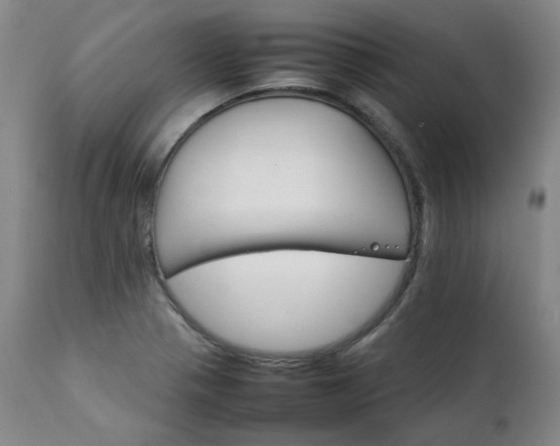 X0000111231321200907091327