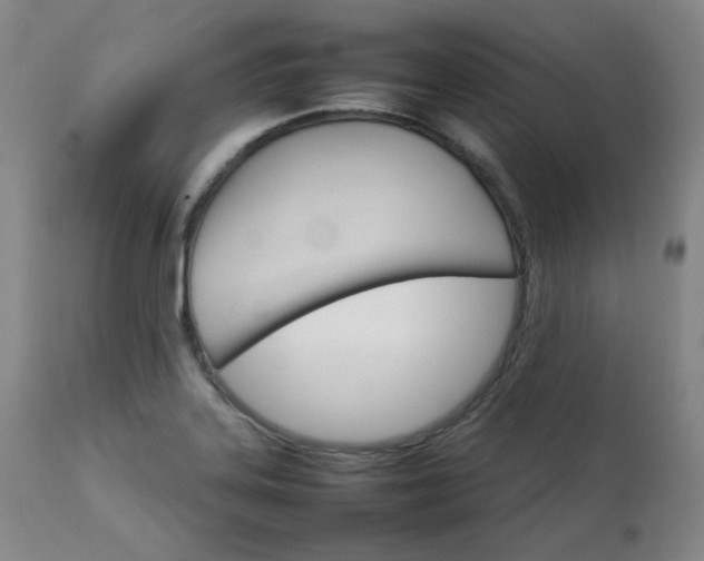 X0000111231323200907091327