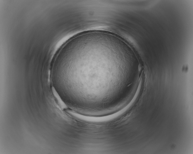 X0000111231324200907091327