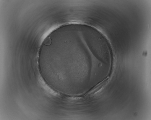 X0000111231325200907091327