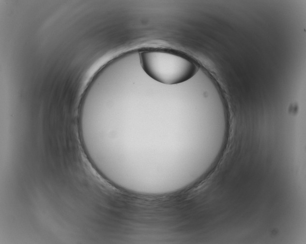 X0000111231326200907091327