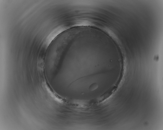 X0000111231329200907091327