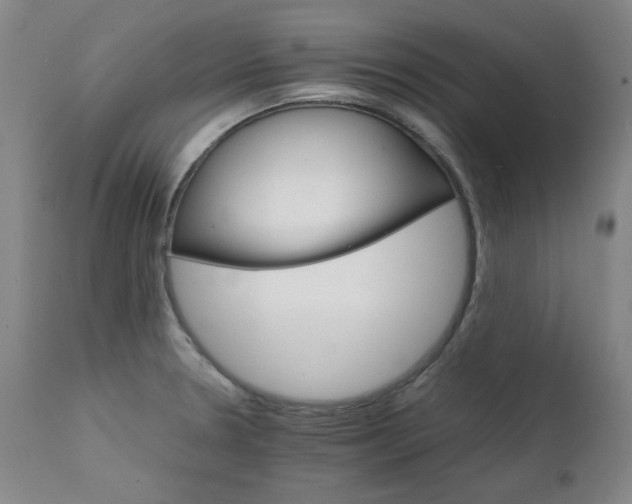 X0000111231330200907091327