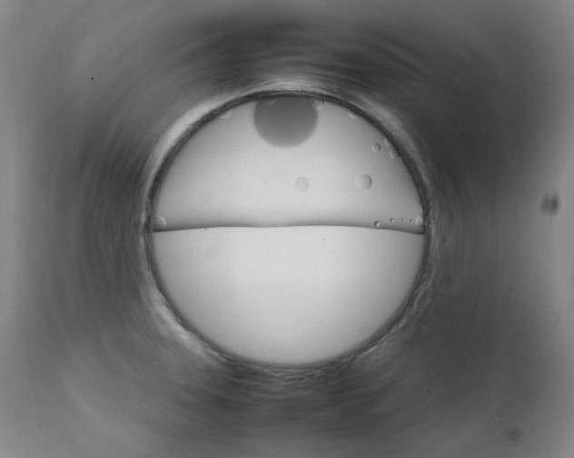 X0000111231331200907091327