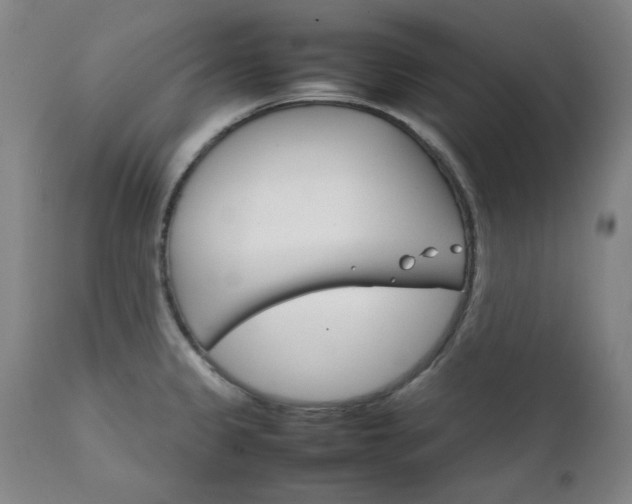 X0000111231333200907091327