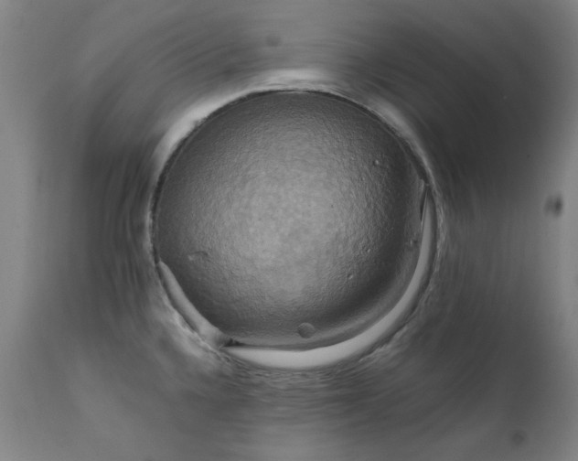 X0000111231336200907091327