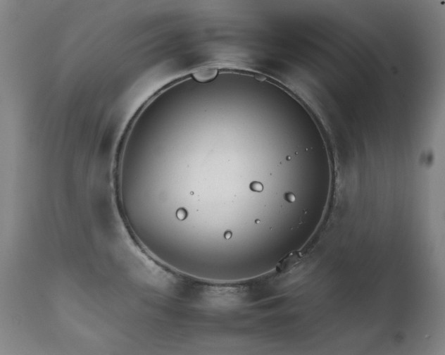 X0000111231339200907091327