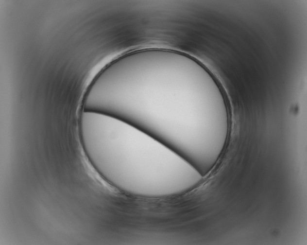 X0000111231341200907091327