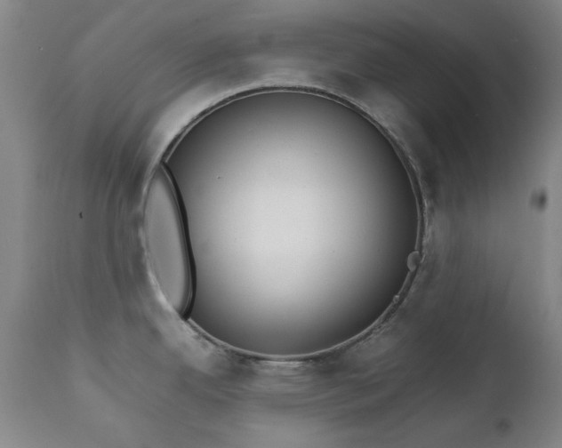 X0000111231342200907091327