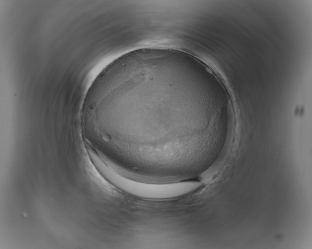 X0000111231344200907091327