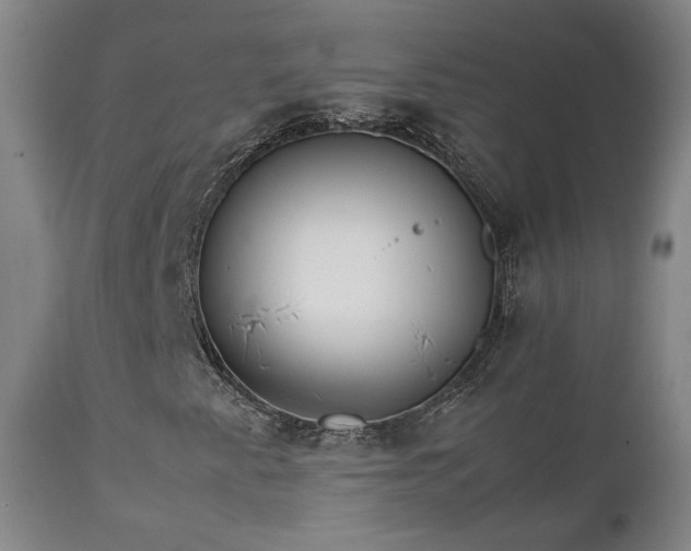 X0000111231345200907091326