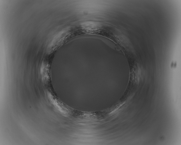 X0000111231346200907091326