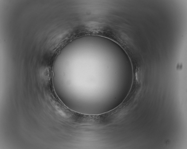 X0000111231347200907091326