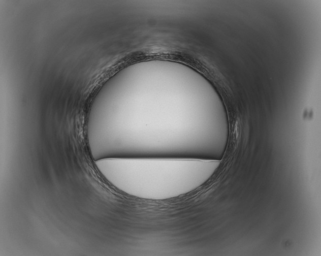 X0000111231348200907091326