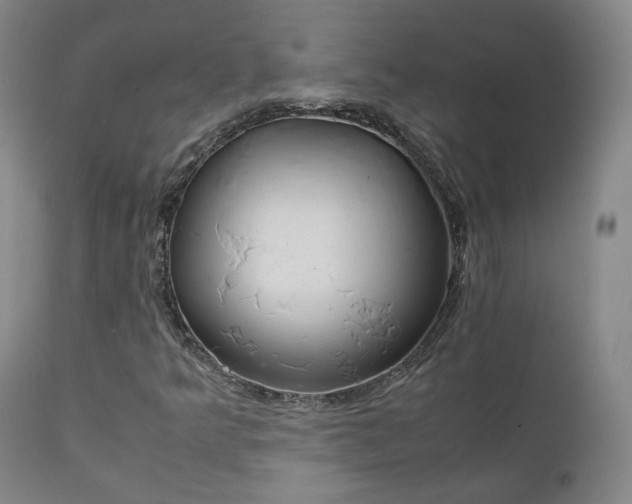 X0000111231349200907091326