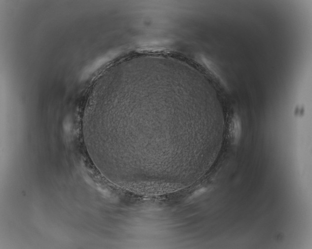 X0000111231350200907091326