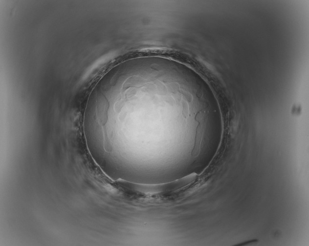 X0000111231351200907091326
