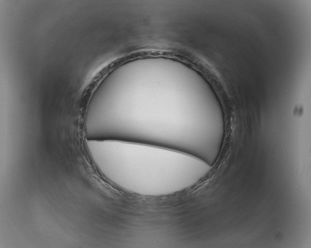 X0000111231352200907091326