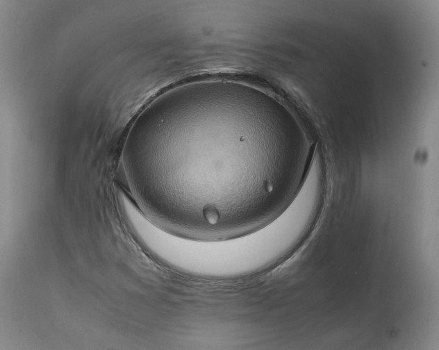 X0000111231353200907091326