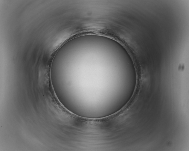 X0000111231354200907091326