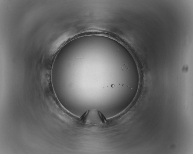 X0000111231355200907091326