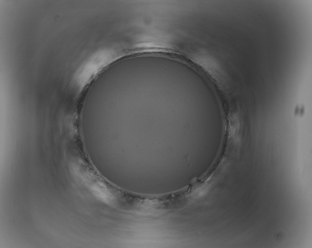 X0000111231357200907091326