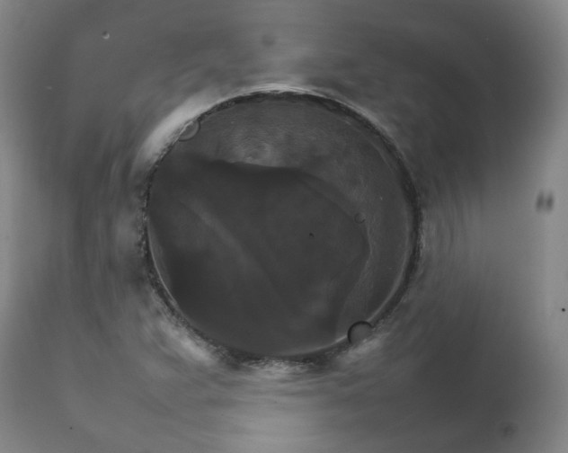 X0000111231359200907091326