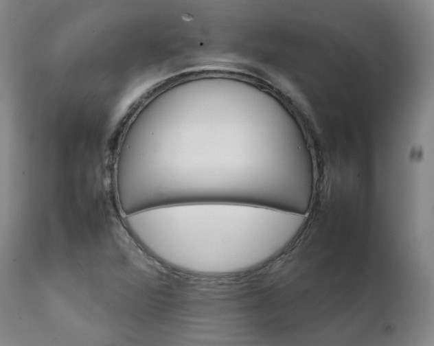 X0000111231360200907091326