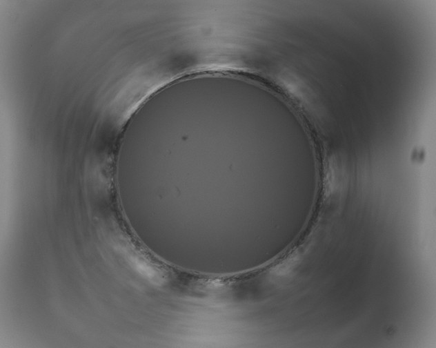 X0000111231361200907091326
