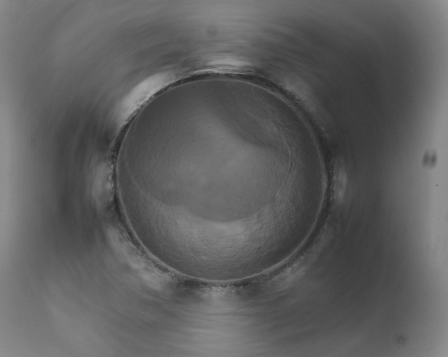 X0000111231362200907091326